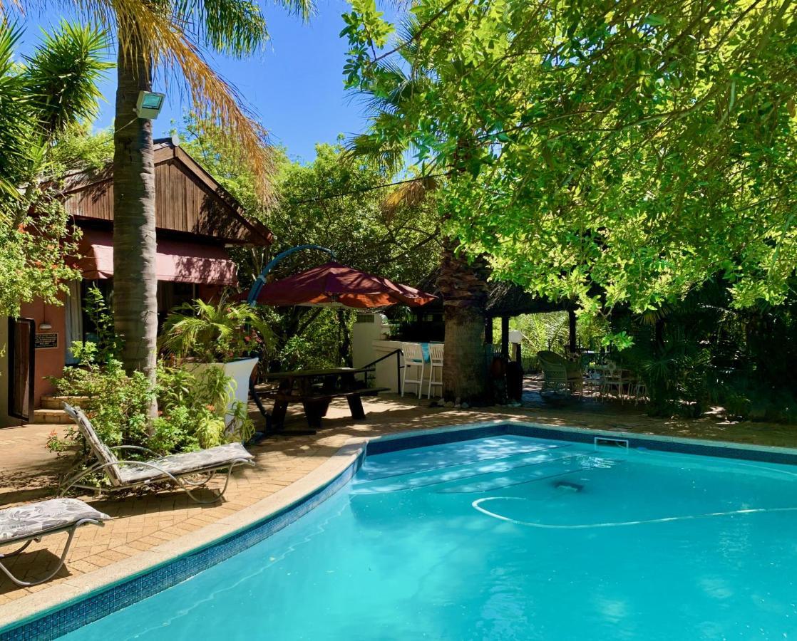 The Little Hideaway Guesthouse Stellenbosch Eksteriør billede