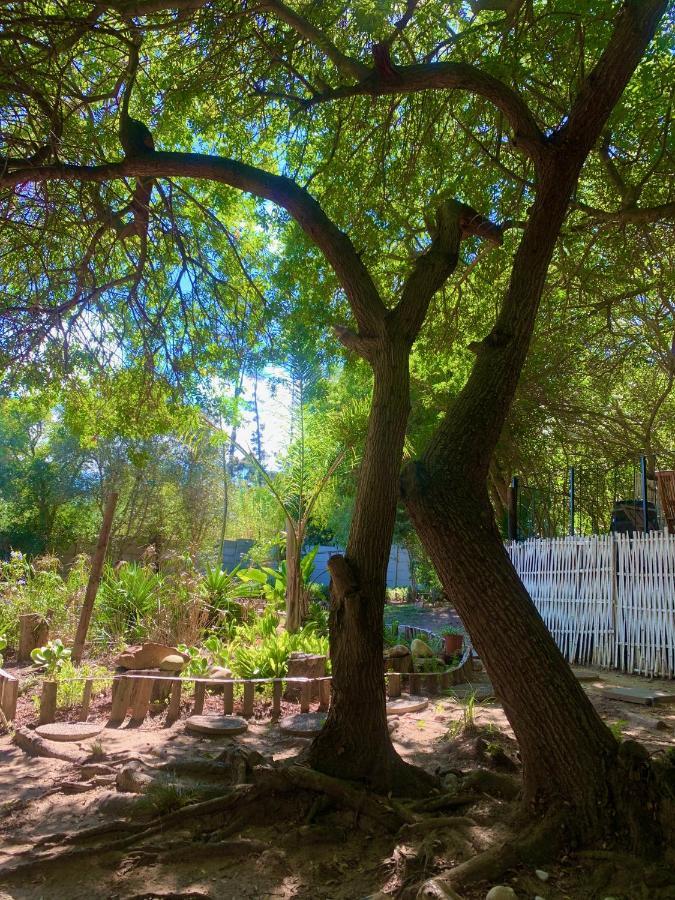 The Little Hideaway Guesthouse Stellenbosch Eksteriør billede