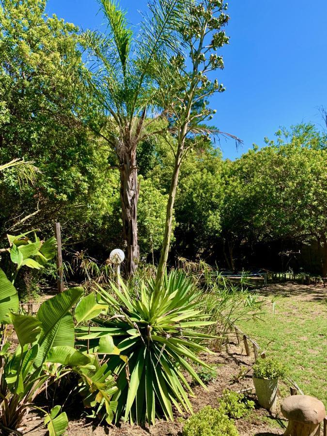 The Little Hideaway Guesthouse Stellenbosch Eksteriør billede